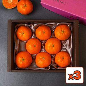 [보자기포장]제주 레드향 1.6kg x 3박스(24과내외) 과일 선물세트