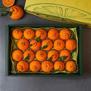 [보자기포장]제주 한라봉 4.6kg(20과내외) 과일 선물세트