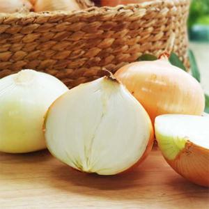 [산지직송] 25년 햇 무안양파(대) 10kg