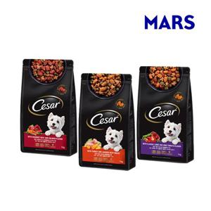 시저 1kg 건사료 모음