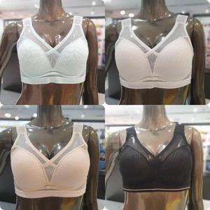 갤러리아_4종택1 노와이어 브라 (A~D컵,90A,90B)[저스트마이사이즈]2N22T~2N25T