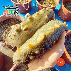 [별미가] 하얀돌 해녀가 직접 채취한 자연산 통영 해삼 1kg