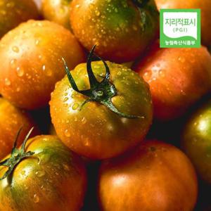 갤러리아_식식한상 대저 찰토마토 2.5kg (M)