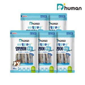 듀먼 통통바삭 열빙어트릿 5팩