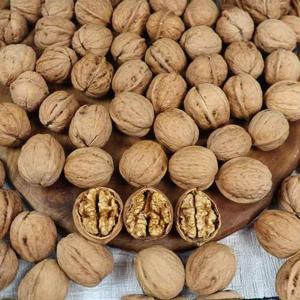 고소한 국내산 햇호두 깐호두 실속 조각호두 500g