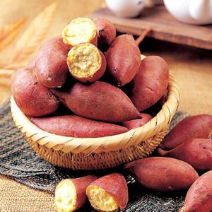 [푸르젠 고구마] 해남 김형식님의 25년산 햇 밤고구마 10kg(특상)