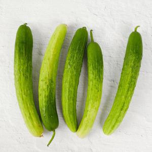 [농협청과33번] 수분가득 신선한 백다다기오이 3kg (상)