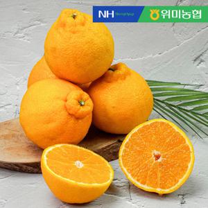 [제주위미농협] 제주직송 한라봉 선물세트 5kg (10-25입 내외)