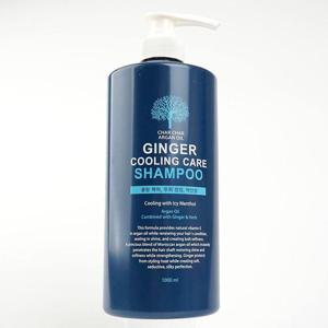 인기 생강추출물 쿨링 헤어케어 샴푸 1000ml (WFHCN8N)