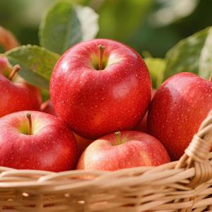 국내산 경북 정품 부사사과 5kg (17-19과) 중과