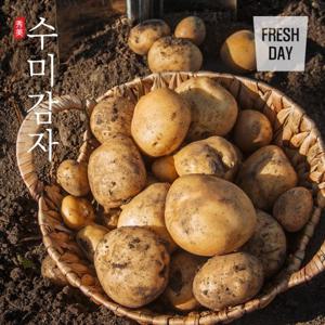 [산지직송] 포슬포슬 쫀득한 햇 수미감자 왕특품 5kg (160g이상)