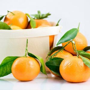 Fresh 산지직송 제주 감귤 정품 로얄과 노지 밀감 3kg