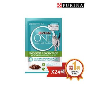 원 캣 습식 파우치 실내고양이 70g 24팩