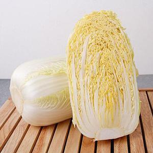 해남 알배기 배추 4kg 4-6포기