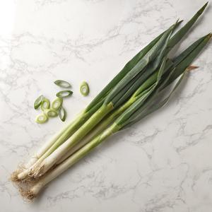 [새벽배송][우리가락]대파 한단