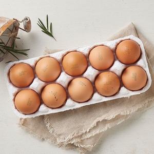 [새벽배송][우리가락]계란 1등급 15입