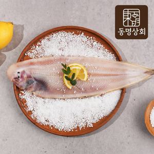 [동명상회] 반건조 군산 박대 특대 (28-30cm)ⅹ8마리