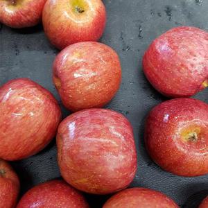 경북 가정용 부사 사과 중과 5kg