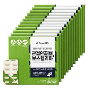 관절연골엔 보스웰리아 플러스 60정x12박스/12개월