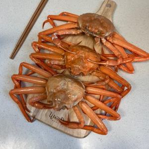 연지 자숙 홍게 3kg(8~12마리)고급A급 다리수율90%내외  연지홍게 포항 구룡포