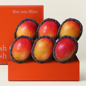 [후레쉬망고] 달콤한 애플망고 선물세트 (4~6과)