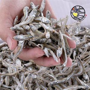 완도 특상품 조림용 멸치(중멸,고바) 500g