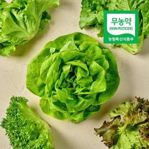 [팜스프링] 무농약 유럽 샐러드 채소 유러피안 쌈채소 2kg
