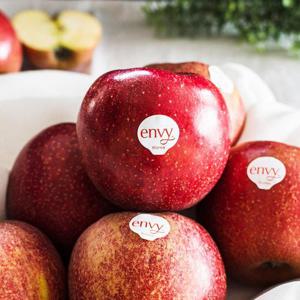 아삭달콤 엔비사과 가정용 2kg 대과 / 7과내외