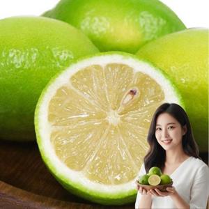 제주 제철 무농약 레몬 1kg
