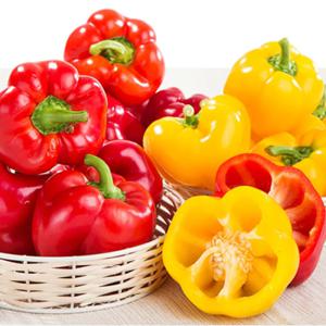 파프리카 5kg(실속형)