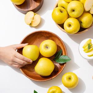 [더조은] 황금사과 시나노골드 정품 5kg 12-16과