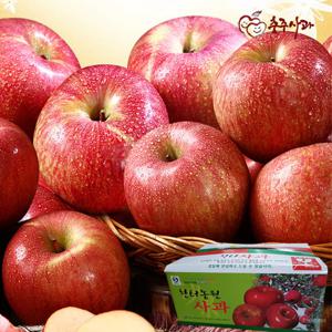 [충주사과] 부사 사과 4.5kg(9~13과)