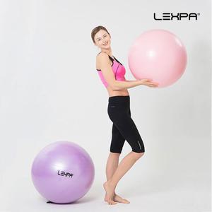 렉스파 YH-08 퍼플 65cm 짐볼 피트니스볼