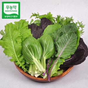 [푸르젠 쌈채소] 순창직송 친환경 유기농 모듬  쌈채소 1kg