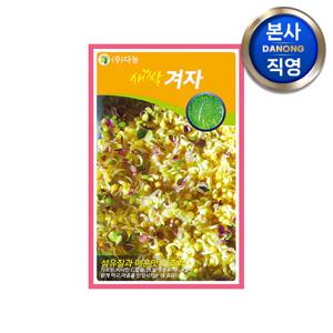 새싹 겨자 씨앗 1kg . 무소독 채소 수경 재배 씨 종자