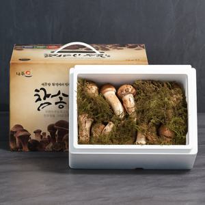 무농약 참송이버섯 정품 1kg 명절 설날 선물세트