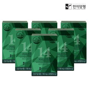 [한미양행] 녹차 카테킨 14 체지방감소 다이어트 700mgx42캡슐x6박스 (12주분)