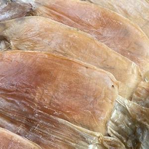 동해안 햇 마른오징어(중) 600g 말린오징어