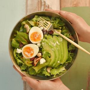 [비밀특가]놋담 방짜유기 모던 메인 요리접시