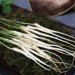 [장성황룡농협] GAP인증 국내산 새싹삼 100뿌리 X1박스(17cm이하)