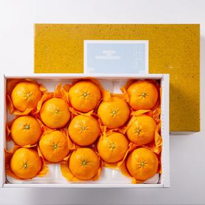 제주 레드향 5kg(특 9-18과) 선물용