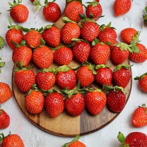 산청 알찬 딸기 로얄 1kg (40과 내외)