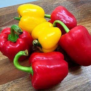 국내산 혼합 못난이 파프리카 가정용 1kg