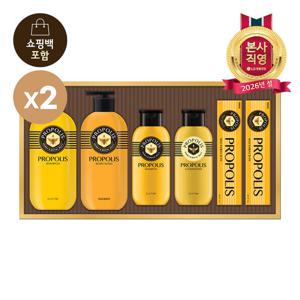 LG설선물세트 프로폴리스 에센셜 세트x2개