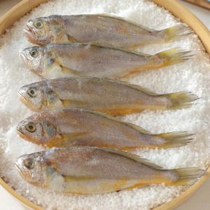 [바다성찬]영광법성포굴비 80g x 20미 ,1.6kg내외