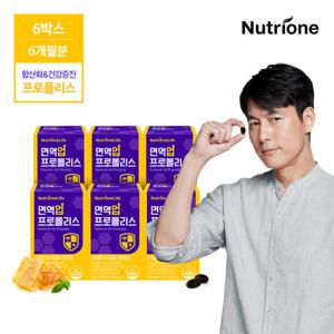 [뉴트리원]정우성 면역업 프로폴리스 6박스(6개월분)