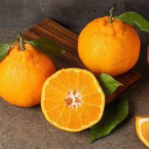 갤러리아_[농부마음]제주 한라봉 9kg(41-50과) 벌크용