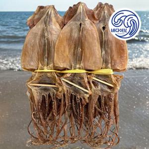 국산 마른오징어 600g 내외 (중) / 건오징어 말린오징어