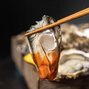 통영 햇 굴 석화 10kg