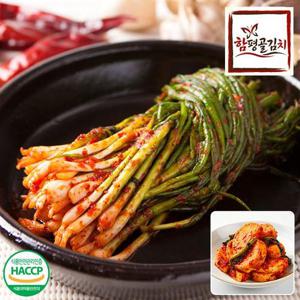 함평골김치 감칠맛이 풍부한 전라도 파김치1kg+석박지1kg